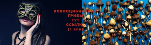 бошки Балахна