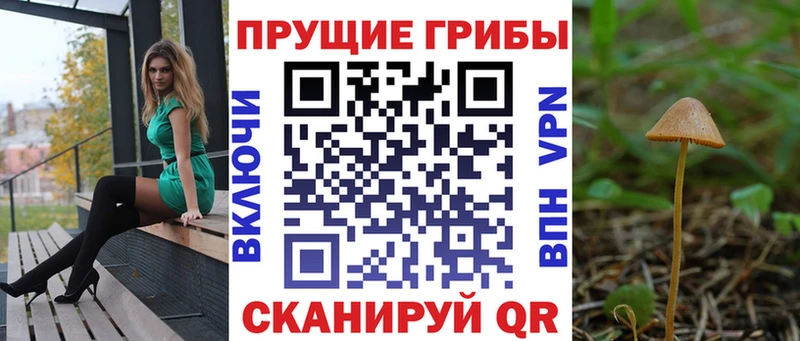 где продают Горно-Алтайск Псилоцибиновые грибы прущие грибы